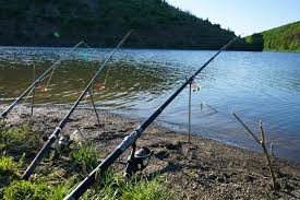 Angler fishing from bank of a river