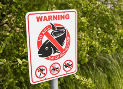 Fishing license and regulation booklet